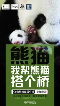 熊猫桥项目图