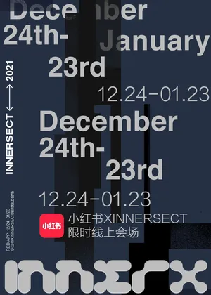 小红书项目图 4
